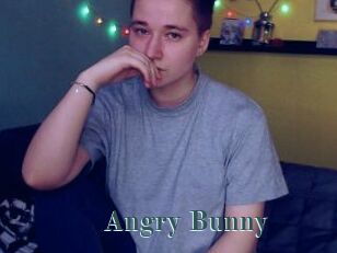 Angry_Bunny