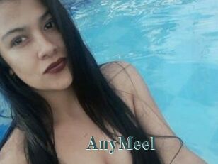 AnyMeel