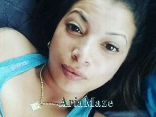 Aria_Maze