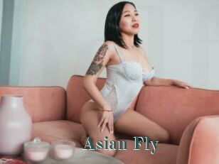 Asian_Fly