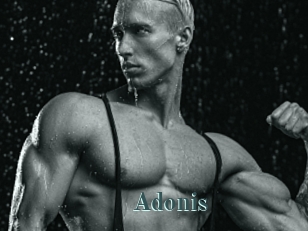 Adonis_