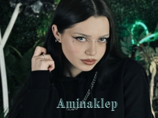 Aminaklep