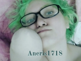 Aneris1718