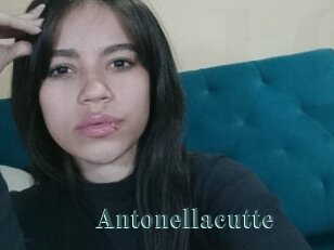 Antonellacutte