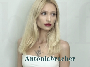 Antoniabracher