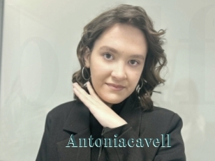 Antoniacavell