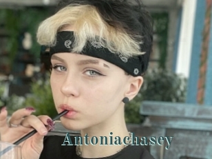 Antoniachasey