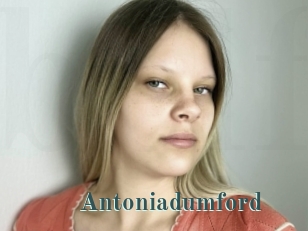 Antoniadumford