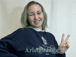 Arleighdagg