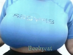 Boobycat