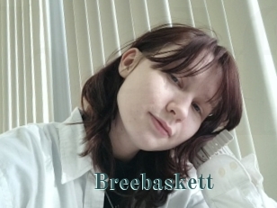 Breebaskett