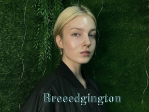 Breeedgington