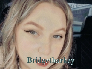 Bridgetharkey