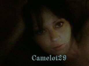 Camelot29