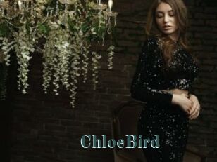 ChloeBird