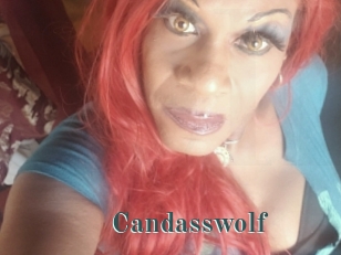 Candasswolf