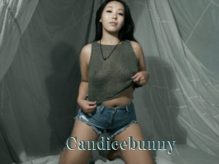 Candicebunny