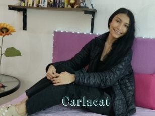 Carlacat