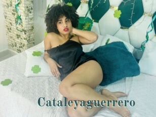 Cataleyaguerrero