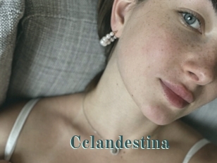 Cclandestina