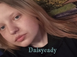 Daisycady