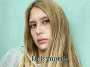 Daisynorris