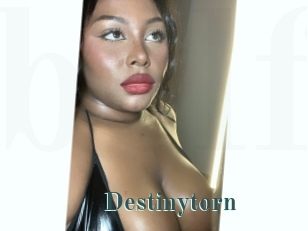 Destinytorn