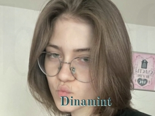 Dinamint