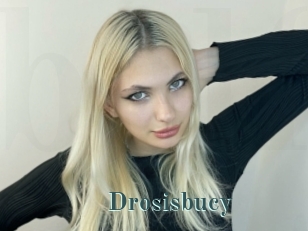 Drosisbucy