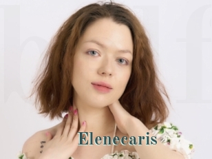 Elenecaris