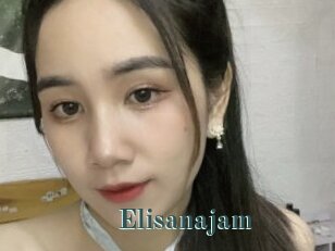 Elisanajam