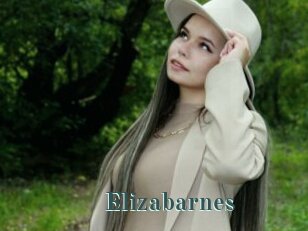 Elizabarnes