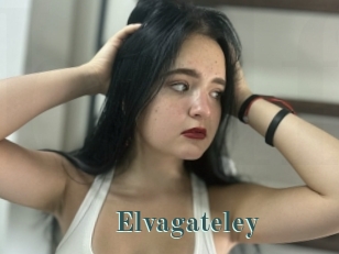 Elvagateley