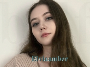 Elviaamber