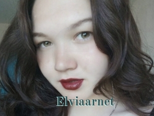 Elviaarnet