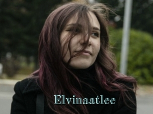 Elvinaatlee