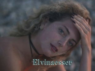 Elvinaesser