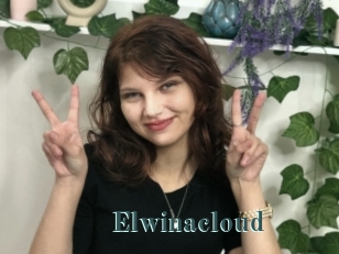 Elwinacloud