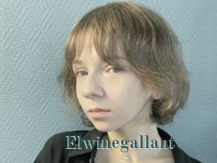 Elwinegallant