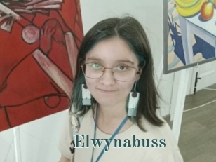 Elwynabuss