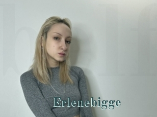 Erlenebigge