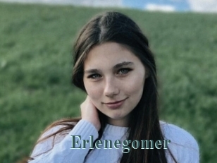 Erlenegomer