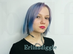 Erlinadiggle