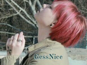GessNice