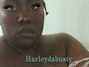 Harleydabusty