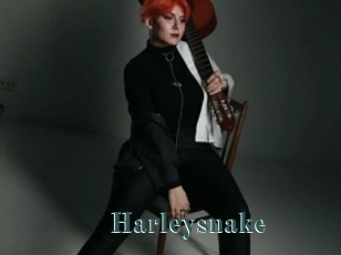 Harleysnake