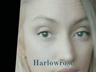 Harlowrose