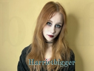 Harrietbigger