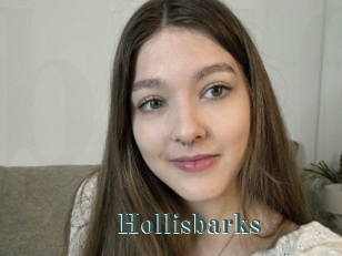 Hollisbarks