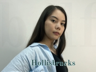 Hollisbrucks